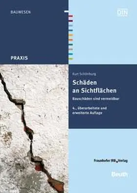 Schönburg / DIN e.V. |  Schäden an Sichtflächen - Buch mit E-Book | Buch |  Sack Fachmedien