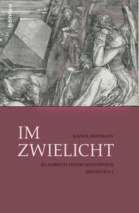 Hoffmann |  Im Zwielicht | Buch |  Sack Fachmedien
