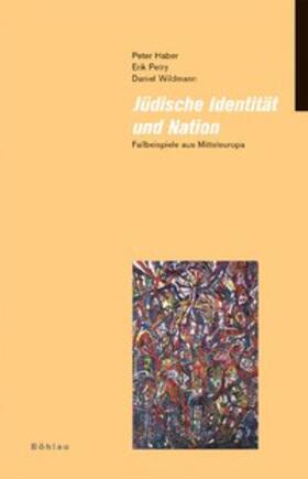 Haber / Wildmann / Petry |  Jüdische Identität und Nation | Buch |  Sack Fachmedien