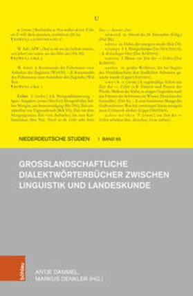 Dammel / Denkler |  Großlandschaftliche Dialektwörterbücher zwischen Linguistik und Landeskunde | Buch |  Sack Fachmedien