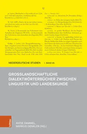 Dammel / Denkler |  Großlandschaftliche Dialektwörterbücher zwischen Linguistik und Landeskunde | Buch |  Sack Fachmedien