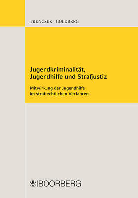 Trenczek / Goldberg | Trenczek, T: Jugendkriminalität, Jugendhilfe und Strafjustiz | Buch | sack.de