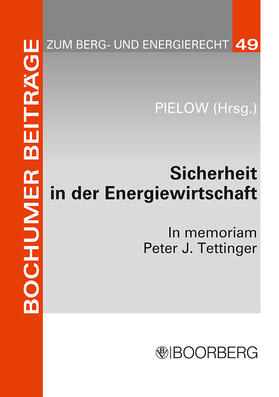 Pielow | Sicherheit in der Energiewirtschaft | Buch | 978-3-415-03989-6 | sack.de