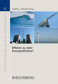 Härtel / Pielow |  Effektiv zu mehr Energieeffizienz? | Buch |  Sack Fachmedien