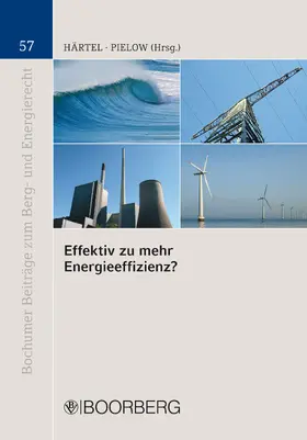Härtel / Pielow |  Effektiv zu mehr Energieeffizienz? | eBook | Sack Fachmedien