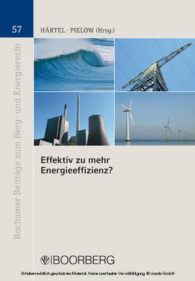 Härtel / Pielow | Effektiv zu mehr Energieeffizienz? | E-Book | sack.de