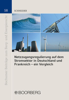Schneider | Netzzugangsregulierung auf dem Stromsektor in Deutschland und Frankreich - ein Vergleich | Buch | 978-3-415-05083-9 | sack.de