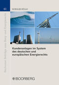 Schulze Düllo |  Kundenanlagen im System des deutschen und europäischen Energierechts | Buch |  Sack Fachmedien