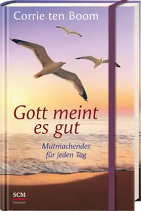 Boom | Gott meint es gut | Buch | 978-3-417-26540-8 | www.sack.de