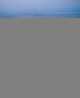 Walker | Die Geschichte des Heiligen Landes | Buch | 978-3-417-26599-6 | www.sack.de