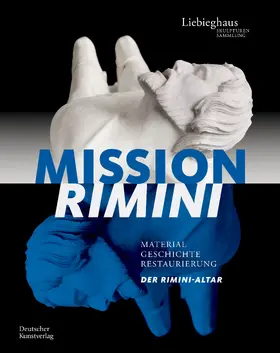 Roller / Theiss |  Mission Rimini | Buch |  Sack Fachmedien