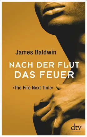 Baldwin |  Nach der Flut das Feuer | Buch |  Sack Fachmedien