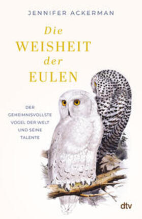 Ackerman | Die Weisheit der Eulen | Buch | 978-3-423-28439-4 | sack.de