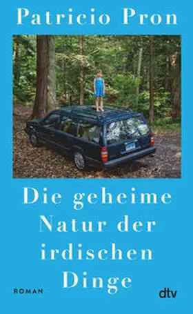 Pron |  Die geheime Natur der irdischen Dinge | Buch |  Sack Fachmedien