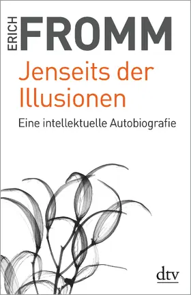 Fromm |  Jenseits der Illusionen | Buch |  Sack Fachmedien