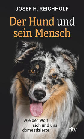Reichholf | Der Hund und sein Mensch | Buch | 978-3-423-35167-6 | sack.de