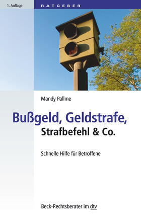 Pallme | Bußgeld, Geldstrafe, Strafbefehl & Co. | Buch | 978-3-423-50706-6 | sack.de