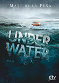 De la Peña |  Under Water | Buch |  Sack Fachmedien