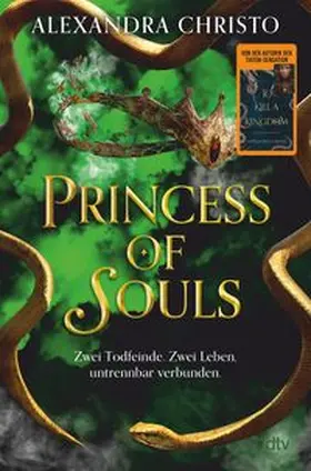 Christo |  Princess of Souls | Buch |  Sack Fachmedien