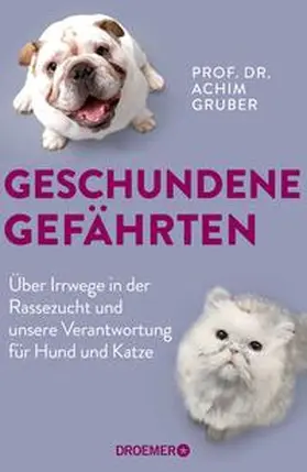 Gruber / Seul |  Geschundene Gefährten | Buch |  Sack Fachmedien