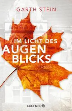 Stein | Im Licht des Augenblicks | Buch | 978-3-426-28144-4 | www.sack.de