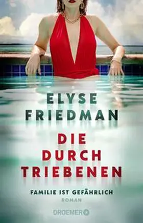 Friedman |  Die Durchtriebenen | Buch |  Sack Fachmedien