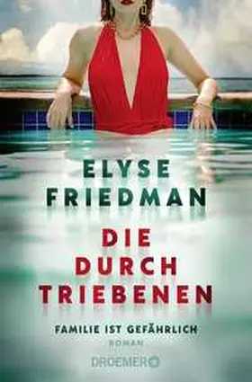 Friedman |  Die Durchtriebenen | Buch |  Sack Fachmedien