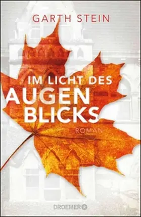 Stein |  Im Licht des Augenblicks | eBook | Sack Fachmedien