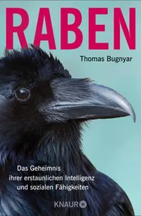 Bugnyar |  Raben | Buch |  Sack Fachmedien