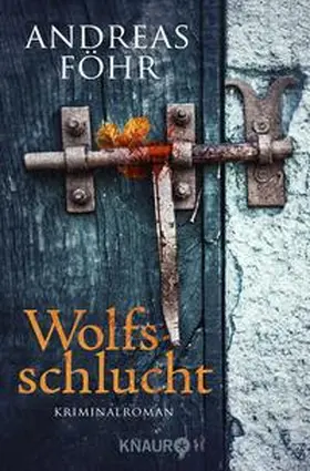 Föhr |  Wolfsschlucht | Buch |  Sack Fachmedien