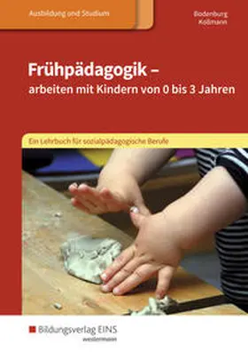 Kollmann / Bodenburg |  Frühpädagogik - arbeiten mit Kindern von 0 bis 3 Jahren. Schulbuch | Buch |  Sack Fachmedien