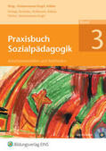 Zimmermann-Kogel / Freitag / Hendriks |  Praxisbuch Sozialpädagogik- Band 3 | Buch |  Sack Fachmedien