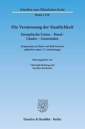 Brüning / Suerbaum | Die Vermessung der Staatlichkeit | Buch | sack.de