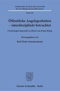 Sommermann |  Öffentliche Angelegenheiten - interdisziplinär betrachtet | Buch |  Sack Fachmedien