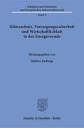 Ludwigs |  Wirtschaftlichkeit in der Energiewende | Buch |  Sack Fachmedien
