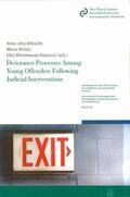 Albrecht / Wienhausen-Knezevic / Walsh |  Desistance Processes Among Young Offenders Following Judicial Interventions | Buch |  Sack Fachmedien