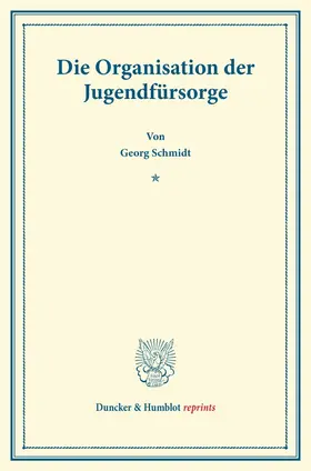 Schmidt |  Die Organisation der Jugendfürsorge. | Buch |  Sack Fachmedien