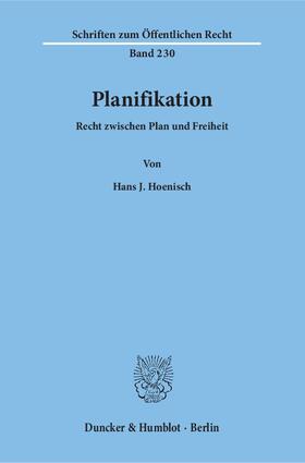 Hoenisch |  Planifikation | eBook | Sack Fachmedien