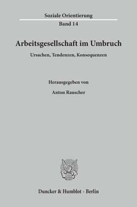 Rauscher | Arbeitsgesellschaft im Umbruch. | E-Book | sack.de
