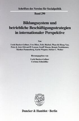 Backes-Gellner / Schmidtke |  Bildungssystem und betriebliche Beschäftigungsstrategien in internationaler Perspektive | eBook | Sack Fachmedien
