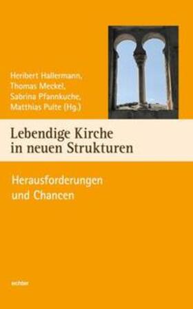 Hallermann / Meckel / Pfannkuche |  Lebendige Kirche in neuen Strukturen | Buch |  Sack Fachmedien
