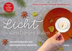 Gentner / Spermann |  Gentner, U: Licht in allen Dingen finden | Sonstiges |  Sack Fachmedien