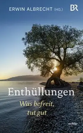 Albrecht |  Enthüllungen | Buch |  Sack Fachmedien