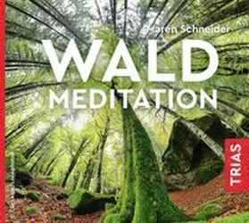 Schneider |  Waldmeditation | Sonstiges |  Sack Fachmedien