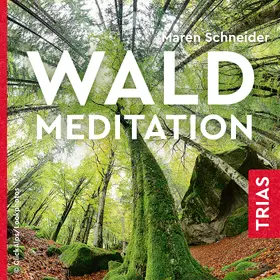 Schneider | Waldmeditation | Sonstiges | 978-3-432-11007-3 | www.sack.de