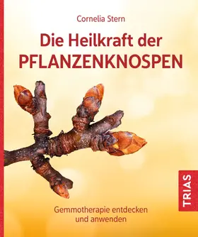 Stern | Die Heilkraft der Pflanzenknospen | Buch | 978-3-432-11469-9 | www.sack.de