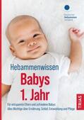 Jahn-Zöhrens |  Hebammenwissen Babys 1. Jahr | Buch |  Sack Fachmedien