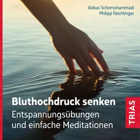 Schirmohammadi / Feichtinger |  Bluthochdruck senken | Sonstiges |  Sack Fachmedien