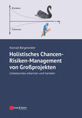 Bergmeister |  Holistisches Chancen-Risiken-Management von Großprojekten | Buch |  Sack Fachmedien