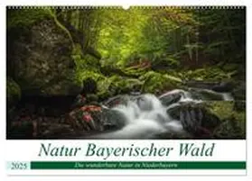 CALVENDO / Thilo Wagner |  Natur Bayerischer Wald (Wandkalender 2025 DIN A2 quer), CALVENDO Monatskalender | Sonstiges |  Sack Fachmedien